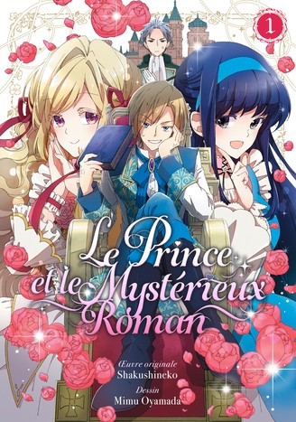 Le prince et le myst&eacute;rieux roman