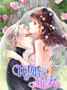 The Beautiful Wife Of The Whirlwind Marriage
