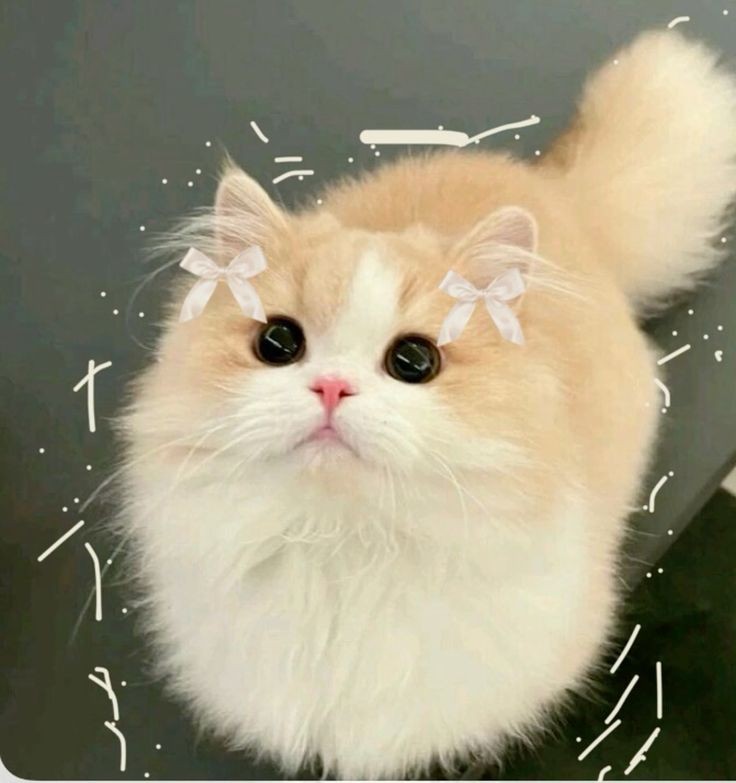 Photo de profil de Runaffff